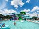 OEM Parque de diversões ao ar livre Jogos infantis Passeios aquáticos Fibra de vidro escorrega para venda