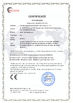 China Guangdong Dapeng Amusement Technology Co., Ltd. Certificações