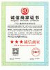 China Guangdong Dapeng Amusement Technology Co., Ltd. Certificações