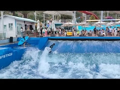 Os adultos profundos finais da associação da onda da ressaca surfam a máquina do simulador personalizada